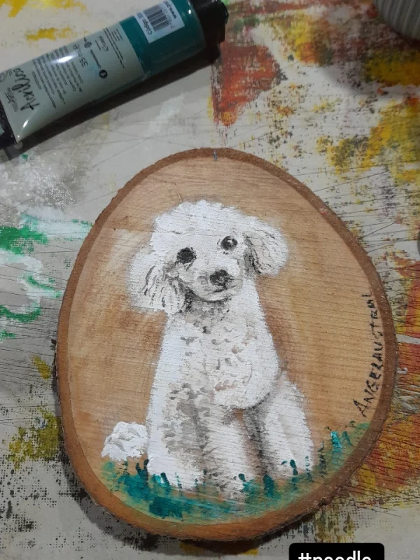 IMG_20240814_210845_293