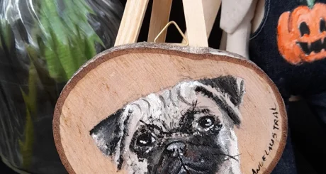 IMG_20241102_132735_065